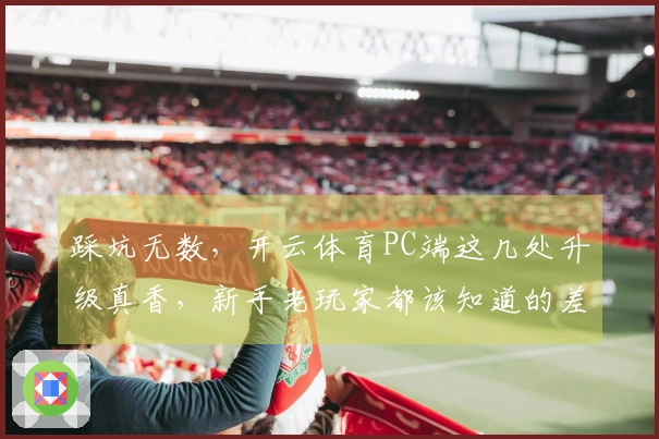 踩坑无数，开云体育PC端这几处升级真香，新手老玩家都该知道的差异对比