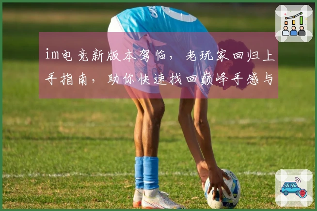 im电竞新版本驾临，老玩家回归上手指南，助你快速找回巅峰手感与全新收益